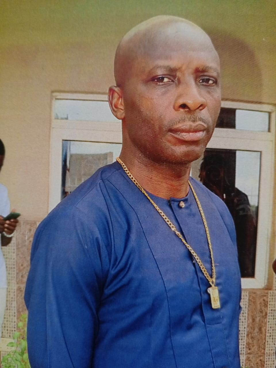 mr dominic nnamdi ateli auditor ii